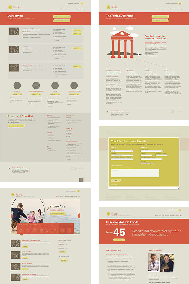 Revida Acupuncture Web Design