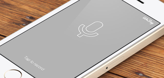 WeSay screen