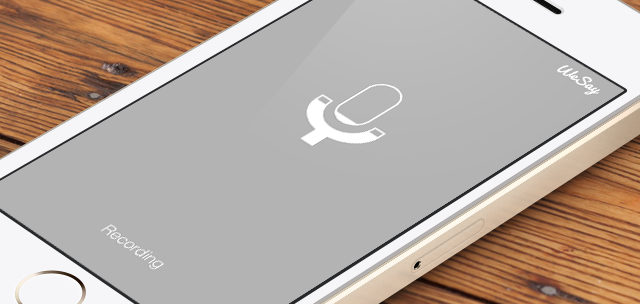 WeSay screen